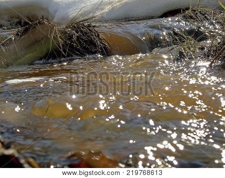 Streams Of Water In A Small River. The Flow Of Water