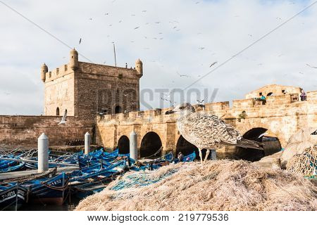 Sqala Du Port, A Defensive Tower At The Fishing Port Of Essaouira, Morocco