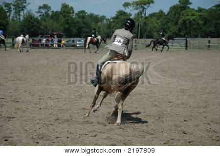 Horseinaction