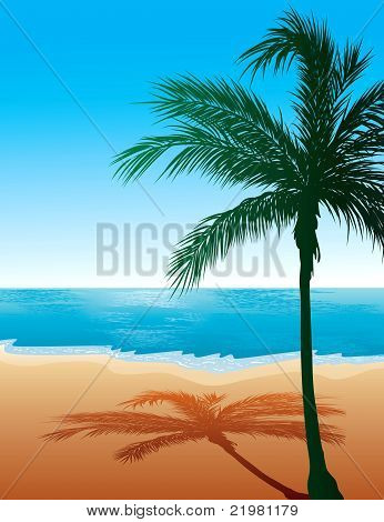 Fond de la plage