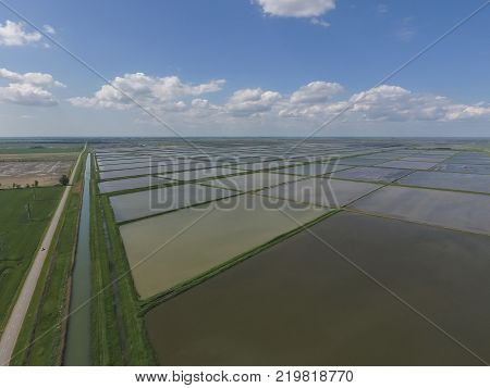 Flooded rice paddies. Agronomic methods of growing rice in the fields. Flooding the fields with water in which rice sown. View from above.