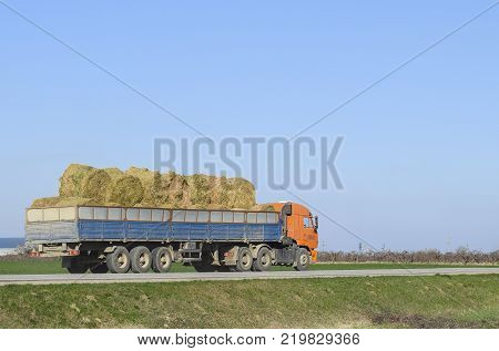 Truck carrying hay in his body. Making hay for the winter