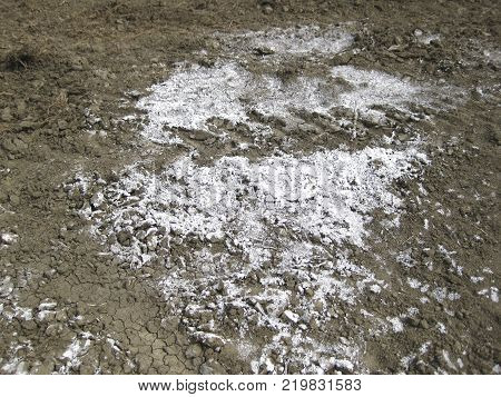 Scattered on the ground chemicals. Soil contamination with toxic substances.