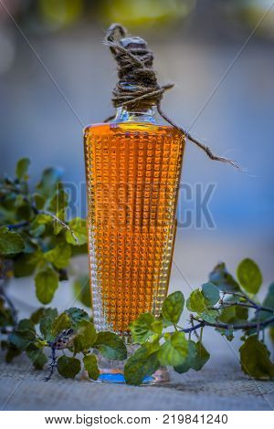 Close Up Of Oil Of Ocimum Tenuiflorum.., Holy Basil In A Transparent Bottle.