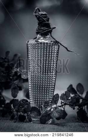 Close Up Of Oil Of Ocimum Tenuiflorum.., Holy Basil In A Transparent Bottle.