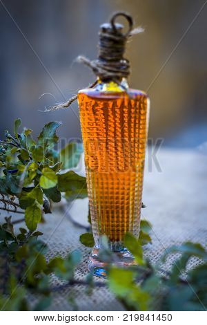 Close Up Of Oil Of Ocimum Tenuiflorum.., Holy Basil In A Transparent Bottle.
