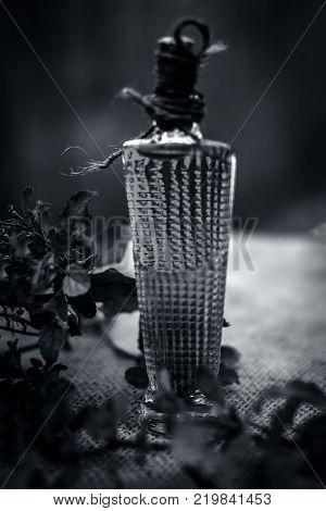 Close Up Of Oil Of Ocimum Tenuiflorum.., Holy Basil In A Transparent Bottle.