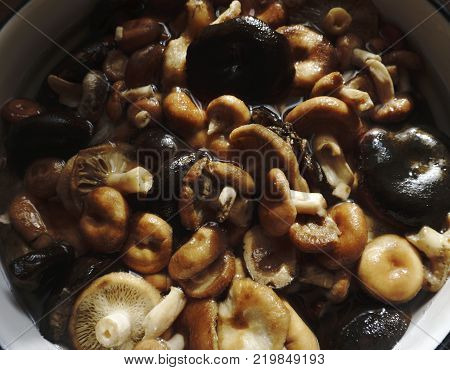 part of the corners soak dried Shiitake mushrooms in water