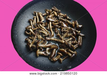 Fried mushrooms mushrooms insulat a lot and