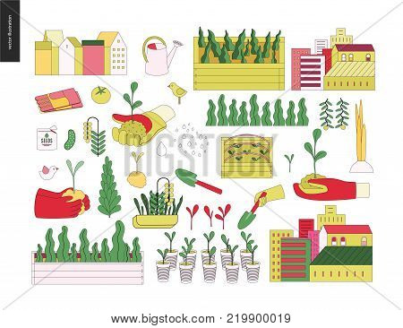 Urban farming, gardening or agriculture. Tools, the greens, vegetables, houses and seedbeds set