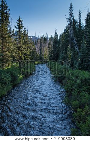 Creek Flows from Green Lakes in Central Orgeon during early summer