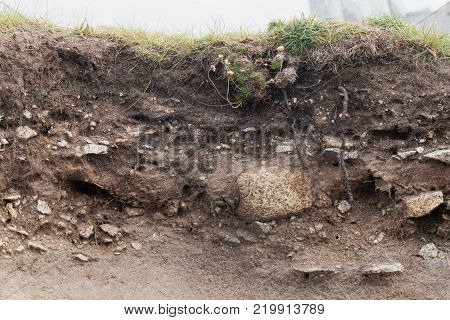 Ranker Soil With Large Granite Fragments