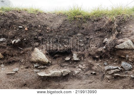 Ranker Soil With Large Granite Fragments