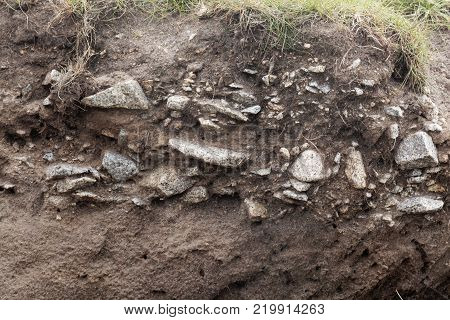 Ranker Soil With Large Granite Fragments