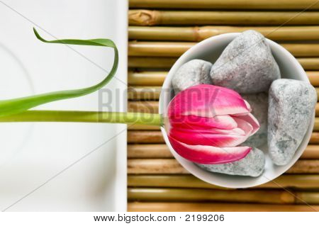 Zen bloem