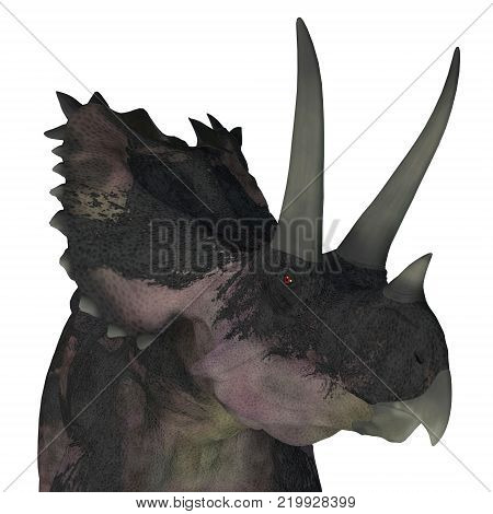 Agujaceratops Dinosaur Head 3D illustration - Agujaceratops was a herbivorous ceratopsian dinosaur that lived in Texas, USA during the Cretaceous Period.