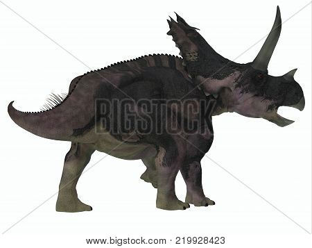 Agujaceratops Dinosaur Tail 3D illustration - Agujaceratops was a herbivorous ceratopsian dinosaur that lived in Texas, USA during the Cretaceous Period.