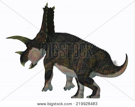 Bravoceratops Dinosaur Tail 3D illustration - Bravoceratops was a herbivorous ceratopsian dinosaur that lived in Texas, USA in the Cretaceous period.