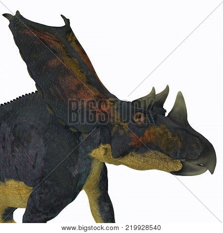 Chasmosaurus Dinosaur Head 3D illustration - Chasmosaurus was a herbivorous ceratopsian dinosaur that lived in Alberta, Canada during the Cretaceous period.