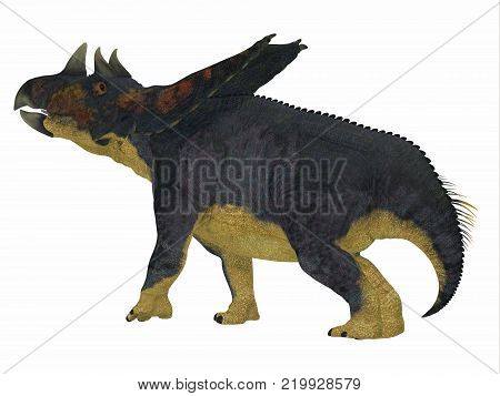 Chasmosaurus Dinosaur Tail 3D illustration - Chasmosaurus was a herbivorous ceratopsian dinosaur that lived in Alberta, Canada during the Cretaceous period.