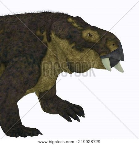 Placerias Dinosaur Head 3D illustration - Placerias was a herbivorous dicynodont dinosaur that lived in Arizona, USA in the Triassic Period.