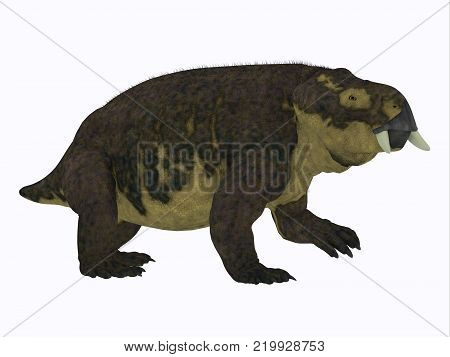 Placerias Dinosaur Side Profile 3D illustration - Placerias was a herbivorous dicynodont dinosaur that lived in Arizona, USA in the Triassic Period.