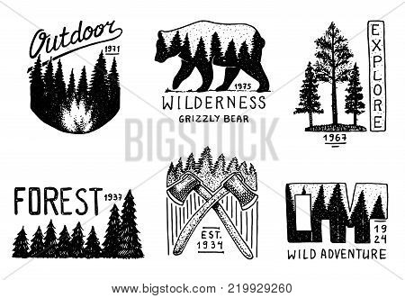 coniferous forest, mountains and wooden logo. camping and wild nature. landscapes with pine trees and hills. emblem or badge, tent tourist, brown bear, travel for vintage labels. engraved hand drawn