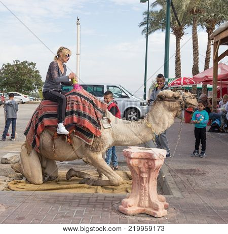 Yeriho, Israel, November 25, 2017 : The camel driver helps the visitor to descend from the camel in Yeriho in Israel