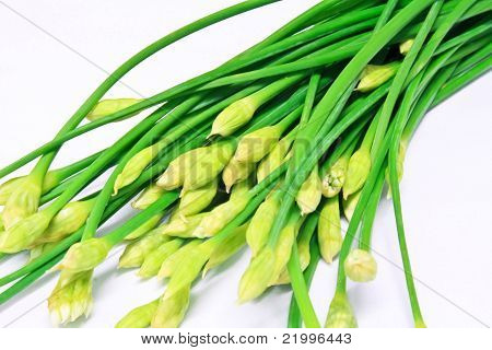 Fiore di erba cipollina