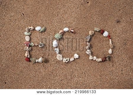 text eco made from shell on clean sandy beach.