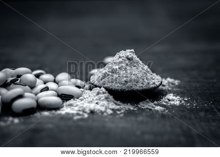 Close Up Of Ayurvedic Herb Kuanch,cowhage,mucuna Pruriens With Powder.