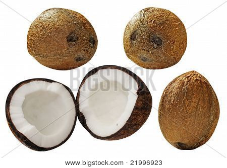 Kokos