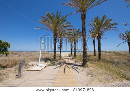 Access To Benicassim Beach With Palm And Stairs Horizontal