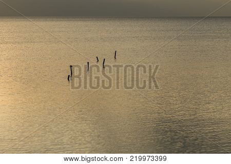 wood posts in the calm waters of Lake Iznik, Iznik, Turkey at sunset