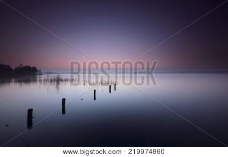 Poles and reed in a quiet lake under a blue and orange dawn