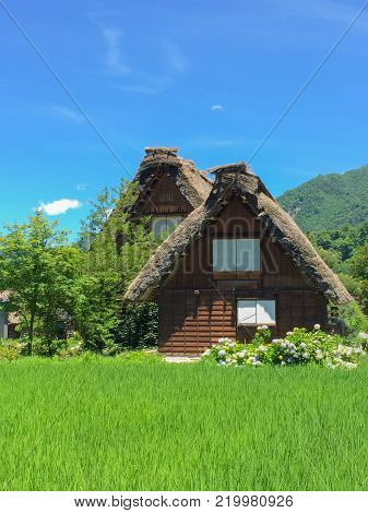Gassho-zukuri house , Historic Village of Shirakawa-go in summer , Japan