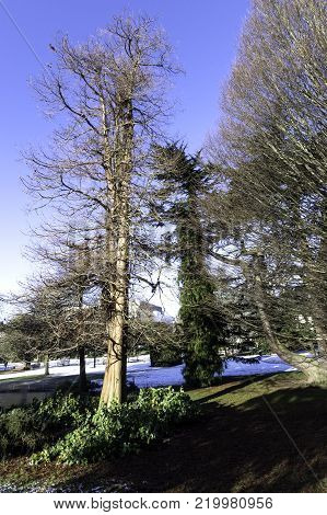 Winter in Royal Leamington Spa - Pump Room / Jephson Gardens, Royal Leamington Spa, Warwickshire, United Kingdom