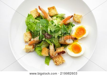 salat with shrimp and eggs on white plate