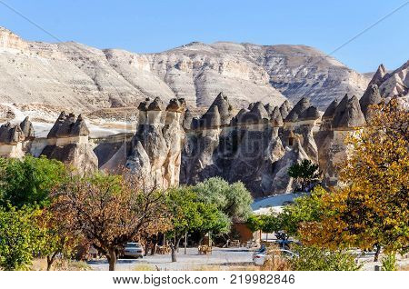 Cappadocia, Turkey. Fairy Chimney. Multihead Stone Mushrooms In The Valley Of The Monks. Pasabag Val