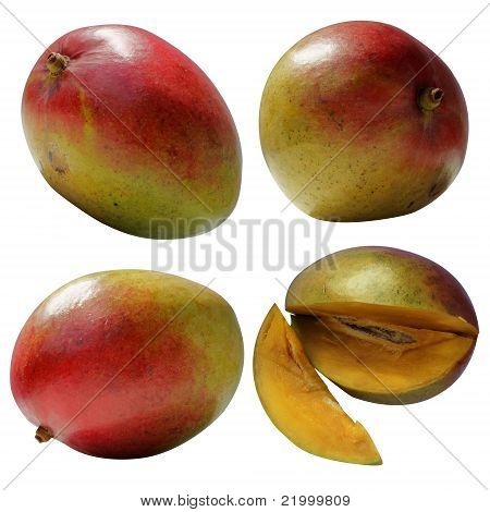 Mango, Mangos