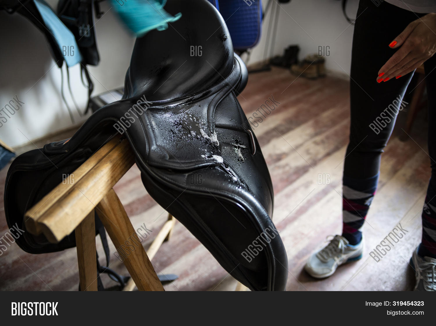 Saddle. Cleaning Image & Photo (Free Trial) Bigstock