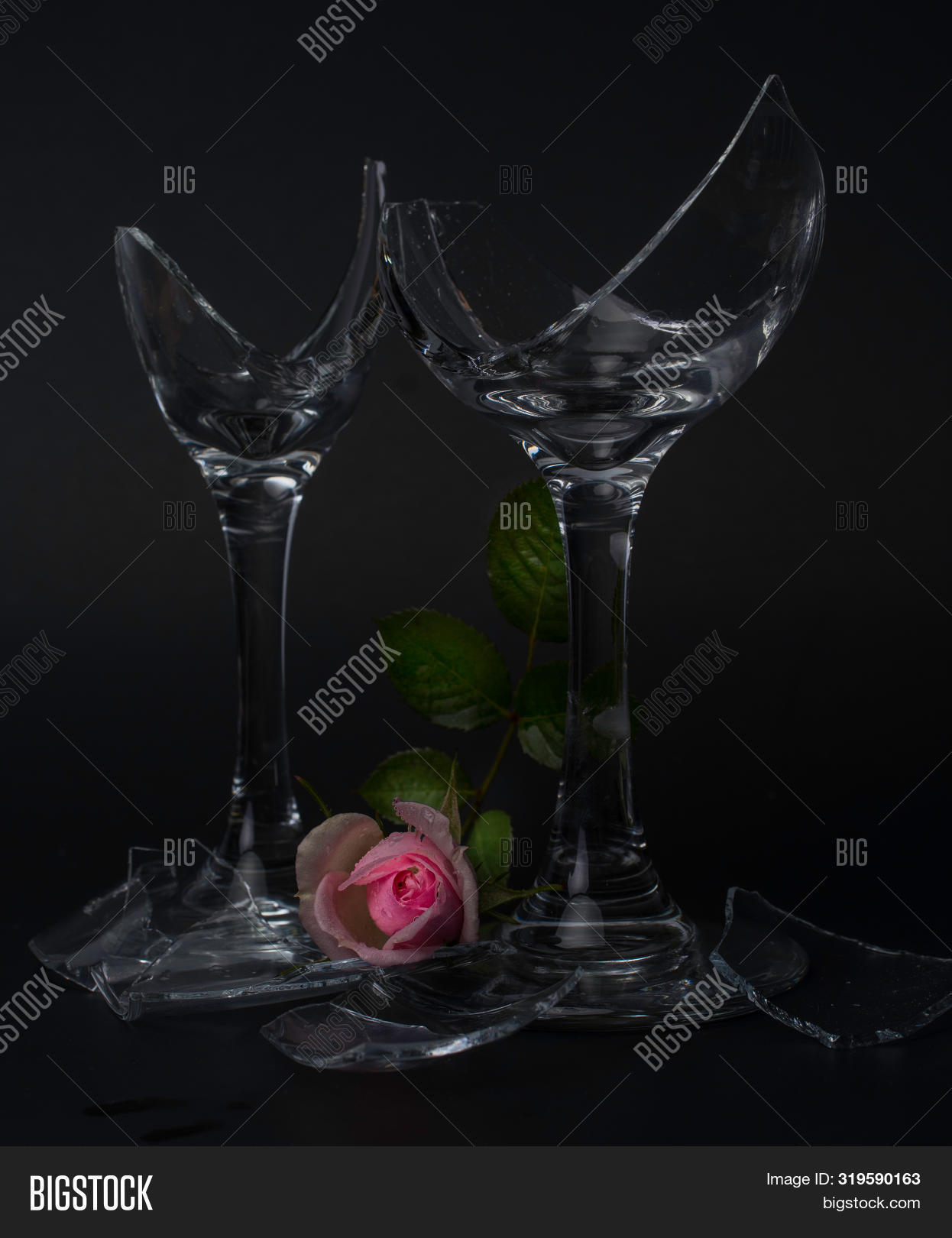 Two Broken Champagne Image & Photo (Free Trial) Bigstock