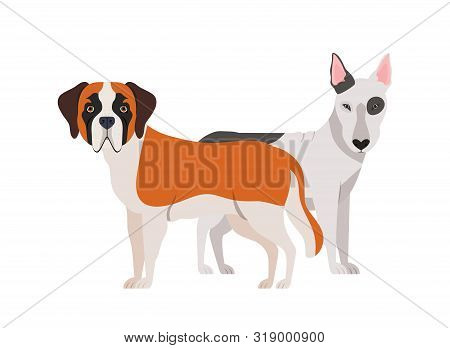 Cute And Adorable Dogs On White Background Vector Illustration Design