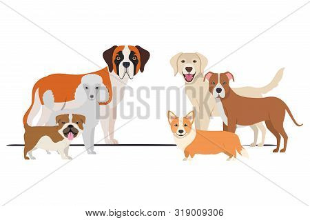 Set Of Adorable Dogs On White Background Vector Illustration Design