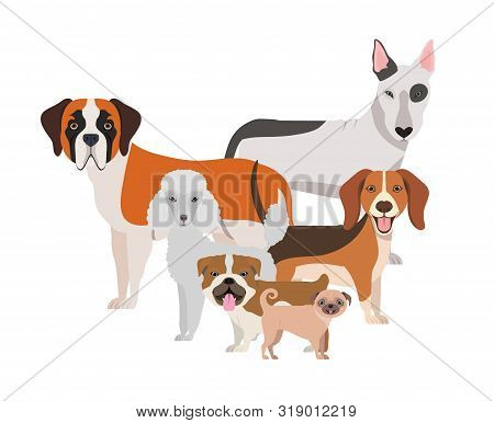 Set Of Adorable Dogs On White Background Vector Illustration Design