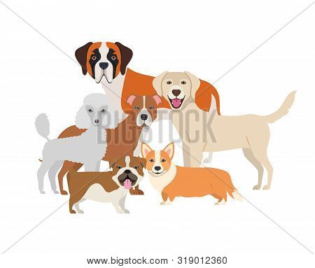 Set Of Adorable Dogs On White Background Vector Illustration Design