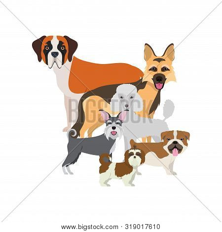 Set Of Adorable Dogs On White Background Vector Illustration Design