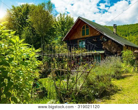 luxury family wooden  cotage house in forest with garden and colorful herbs