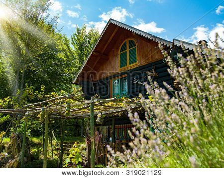 luxury family wooden  cotage house in forest with garden and colorful herbs