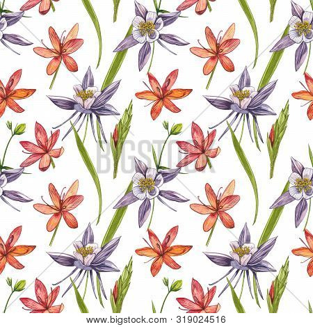 Kafir Lilies Flowers. Seamless Patterns. Collection Of Hand Drawn Flowers And Plants. Botany. Set. V